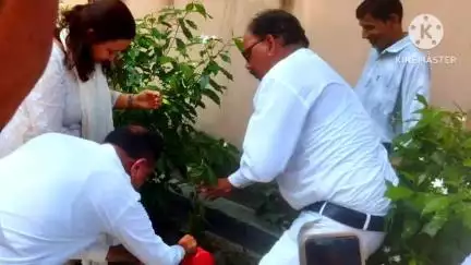 मुसाफिरखाना: सिविल कोर्ट मुसाफिरखाना परिसर में विश्व पर्यावरण दिवस पर सिविल जज दीपांशी चौधरी ने किया पौधारोपण