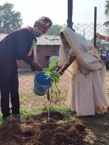 अलीराजपुर: डोबलाझीरी में नवविवाहित जोड़े ने विश्व पर्यावरण दिवस पर रची मिसाल, सांसद ने 'एक पेड़ मां के नाम' के तहत किया पौधारोपण