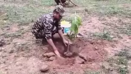 बिंद्रानवागढ़ गरियाबंद: कुहाडीघाट में मां के नाम पर सीआरपीएफ के कैंप में वृक्षरोपण किया गया