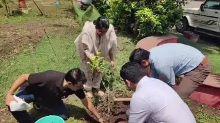 बड़वानी: विश्व पर्यावरण दिवस पर कलेक्टर व अधिकारियों ने कलेक्ट्रेट में किया पौधारोपण, पर्यावरण संरक्षण का दिया संदेश