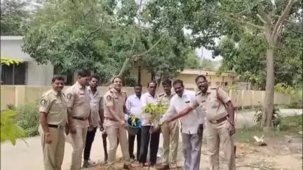 సోమందేపల్లి పోలీస్ స్టేషన్లో మొక్కలు నాటిన పోలీసులు