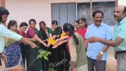 ಬಾಗೇಪಲ್ಲಿ: ಪಟ್ಟಣ ಸೇರಿದಂತೆ ತಾಲೂಕಿನಾದ್ಯಂತ ವಿವಿಧ ಶಾಲಾ-ಕಾಲೇಜುಗಳಲ್ಲಿ ವಿಶ್ವ ಪರಿಸರ ದಿನಾಚರಣೆ