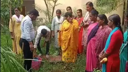 आदित्यपुर गम्हरिया: गम्हरिया प्रखंड सह अंचल कार्यालय में अंचल अधिकारी और सीडीपीओ की अध्यक्षता में हुआ पौधारोपण