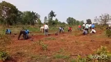 डौण्डी: विश्व पर्यावरण दिवस के अवसर पर जिले भर में सघन वृहद पौधरोपण कार्यक्रम का आयोजन किया गया