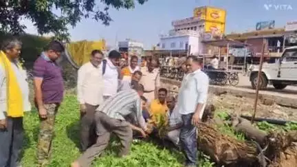 घुघरी: घुघरी में भाजपा पदाधिकारी द्वारा पर्यावरण दिवस मनाया गया, थाना परिसर में किया वृक्षारोपण