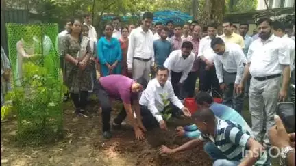 पाकुड़: पाकुड़ न्यायालय परिसर में न्यायिक पदाधिकारी ने लगाया पौधा, पर्यावरण संरक्षण को लेकर ली शपथ
