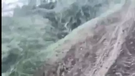 परभणी: टाकळी कुंभकरण ते ब्राह्मणगाव वाडी रस्त्याची दुरावस्था, ग्रामस्थांचे जिल्हाधिकाऱ्यांना निवेदन #Jansamasya