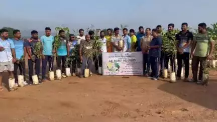 ಕುಶಾಲನಗರಸಲ್ಲಿ ಪುರಾಸಭೆ ವತಿಯಿಂದ ವಿಶ್ವ ಪರಿಸರ ದಿನದ ನಡೆದ ಗಿಡ ನೆಡುವ ಕಾರ್ಯಕ್ರಮ