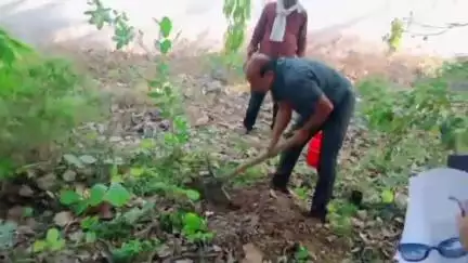 दतिया नगर: "एक पेड़ मां के नाम" का संदेश देते हुए  जिला शिक्षा अधिकारी कार्यालय में हुआ वृक्षारोपण।