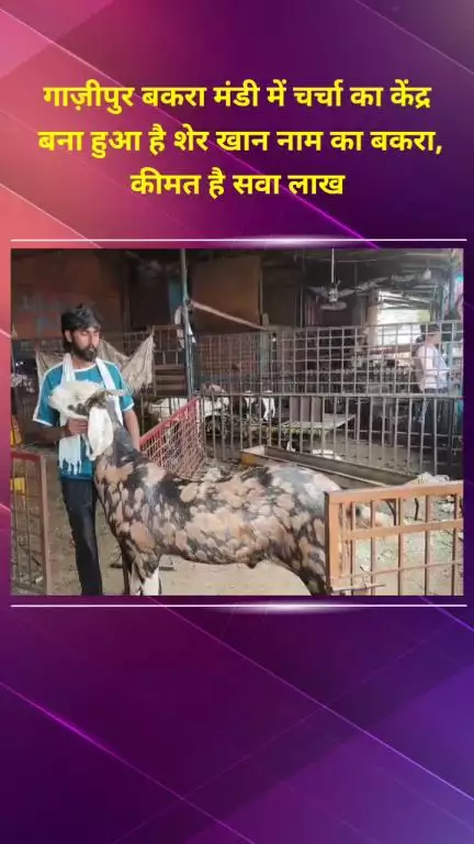 मयूर विहार: गाज़ीपुर बकरा मंडी में सवा लाख का 'शेर खान' बकरा बना चर्चा का विषय