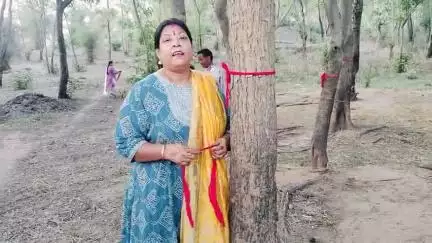 मुर्रामकला के कैथा टुंगरी में पेड़ों पर लाल कलावा बांध कर मनाया गया विश्व पर्यावरण दिवस अर्चना महतो ने की अगुवाई,,