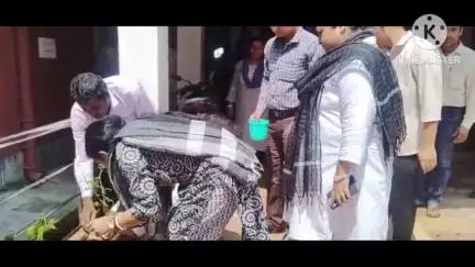 বিলোনিয়া: বিলোনিয়া আদালত চত্বরে বিচারক বৃক্ষ রোপনের মধ্য দিয়ে বার্তা দিলেন পরিবেশকে