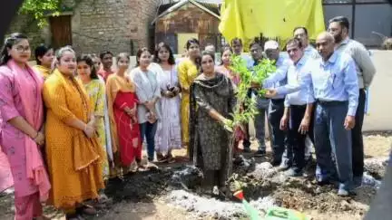 सीतामऊ: जिले भर में पर्यावरण दिवस पर 'एक पौधा मां के नाम' कार्यक्रम, कलेक्टर, एसडीएम व अन्य अधिकारी शामिल