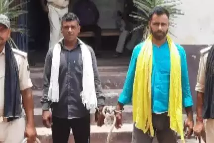 हलसी: वाजिदपुर गांव से हलसी थाना पुलिस ने 2 एनबीडब्ल्यू वारंटी सहोदर भाई को किया गिरफ्तार, कोर्ट में पेश किया