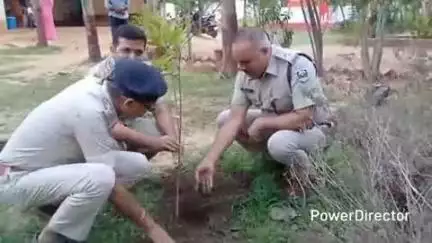 कटोरिया: विश्व पर्यावरण दिवस पर कटोरिया थाना परिसर में बेलहर एसडीपीओ व थानाध्यक्ष ने किया पौधारोपण