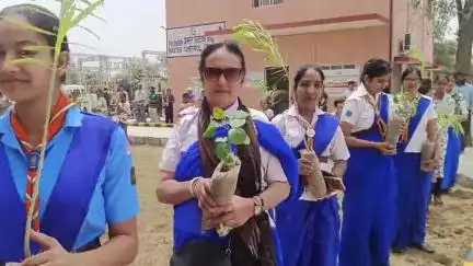 सरदारशहर: आरयूआईडीपी कार्यालय में विश्व पर्यावरण दिवस पर स्काउट की छात्राओं ने वृक्षारोपण किया, चित्रकला प्रतियोगिता का आयोजन हुआ