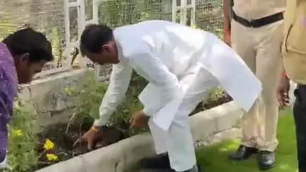 ब्यावरा: राज्यमंत्री नारायण सिंह पंवार ने विश्व पर्यावरण दिवस पर किया पौधारोपण