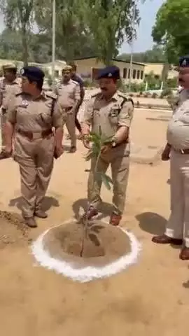 करछना: नैनी स्थित केंद्रीय कारागार में विश्व पर्यावरण दिवस के अवसर पर पौधरोपण किया गया