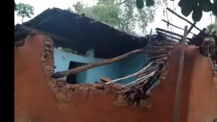 बानो: बानो क्षेत्र में जंगली हाथियों का आतंक जारी, तीन घरों को नुकसान पहुंचाया और अनाज खाया