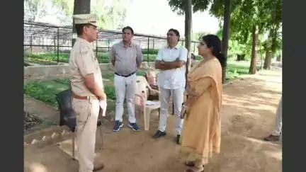 गंगापुर: गंगापुर सिटी उपखण्ड कार्यालय का जिला कलेक्टर ने किया औचक निरीक्षण, पौधारोपण कर देखभाल का दिलाया संकल्प