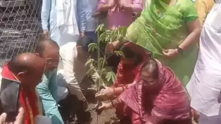 बासोदा: बासौदा: रानी लक्ष्मीबाई पार्क और देहात थाना परिसर में विधायक सहित जनप्रतिनिधियों ने किया पौधारोपण