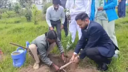 बेरीनाग: विश्व पर्यावरण दिवस के मौके पर बेरीनाग और गंगोलीहाट में विभिन्न कार्यक्रम हुए आयोजित