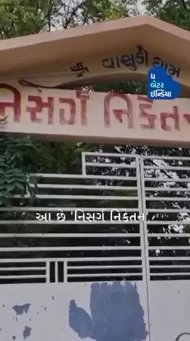 25 વર્ષ મહેનત કરી ઉગાડયું Mini Jungle | Couple Made Mini Jungle In Gujarat | Environment day