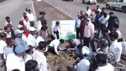 खंडवा: भारतीय राष्ट्रीय राजमार्ग प्राधिकरण ने छैगाँवमाखन और सिहाड़ा में विश्व पर्यावरण दिवस पर किया वृक्षारोपण