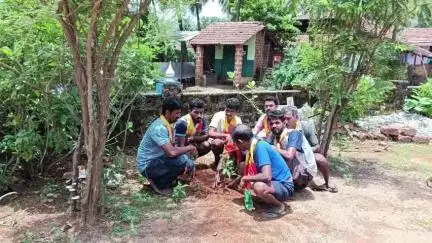 ಕಾರವಾರ: ಕಡವಾಡದಲ್ಲಿ ಜಯಕರ್ನಾಟಕ ಜನಪರ ವೇದಿಕೆ ವತಿಯಿಂದ ಸಿಂಧೂರ ವನ ಕಾರ್ಯಕ್ರಮ