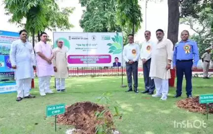 सिंगरौली: एनसीएल में विश्व पर्यावरण दिवस 2025 पर कई कार्यक्रमों का आयोजन