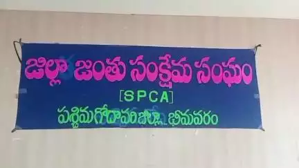 భీమవరం: బక్రీద్‌ పండుగ నేపథ్యంలో పశువులను అక్రమ రవాణా చేస్తే చట్ట ప్రకారం చర్యలు: డీఆర్‌ఓ మొగిలి వెంకటేశ్వర్లు