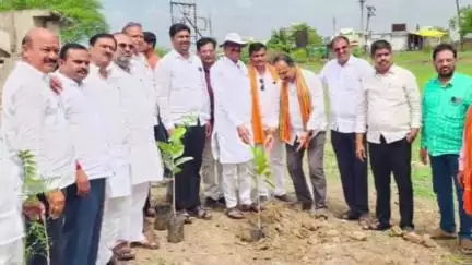 हिंगोली: तालुक्यातील बळसोड परिसरात आमदार तानाजीराव मुटकुळे यांच्या हस्ते वृक्षारोपण