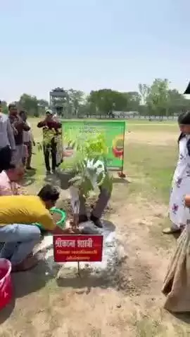 औरंगाबाद: त्रिदिवसीय SVEEP विशेष जागरूकता अभियान के अंतर्गत सिंचाई कॉलोनी में वृक्षारोपण कार्यक्रम का आयोजन