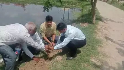 पुपरी: विश्व पर्यावरण दिवस पर पुपरी प्रखंड कार्यालय में एसडीओ गौरव कुमार व अन्य ने किया पौधारोपण