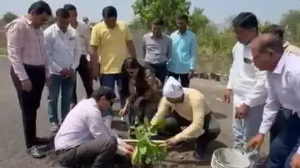 जळगाव: खेडी शिवारात जागतीक पर्यावरण दिनाच्या निमित्ताने तहसीलदार डॉ. शितल राजपूत यांच्या वृक्षारोपण