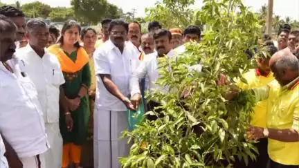 நல்லம்பள்ளி: தளவாய்அள்ளியில் உலக சுற்றுச்சூழல் தினத்தை 
3 இலட்சம் மரக்கன்றுகள் நடும் பணிகளையும் கலெக்டர் சதீஷ் தொடங்கி  வைத்தார் .