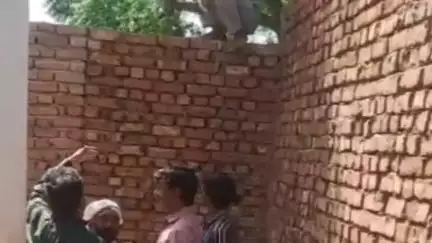 फतेहाबाद: फतेहाबाद के ग्राम पेतीखेड़ा में दबंगों ने रास्ते पर लगाई दीवार, प्रशासन ने किया अवैध कब्जा ध्वस्त