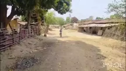 डौण्डी: बालोद जिले का एक ऐसा गांव जहां अभी तक नहीं बनी है पक्की सड़क विकास के लिए तरस रहे हैं ग्रामीण#jansamasya