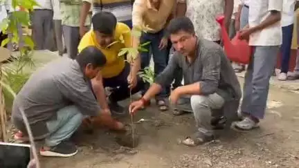 বসিরহাট ১: বসিরহাটে পরিবেশ দিবস উপলক্ষে বৃক্ষরোপণ করলেন বসিরহাট দক্ষিণের বিধায়ক