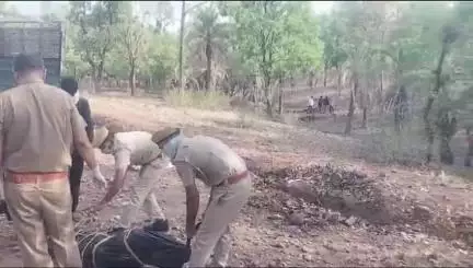छोटी सरवन: दानपुर-आंबापुरा थानों के बॉर्डर स्थित सजवानिया बारी गांव के जंगल क्षेत्र में मिला महिला का शव