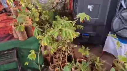 ಕೊಪ್ಪಳ: ನಗರದಲ್ಲಿ ನೆಂಟರಿಗೆ ಸಸಿ ನೀಡಿ ಪರಿಸರ ಜಾಗೃತಿ ಮೂಡಿಸಿದ ನವ ಜೋಡಿ