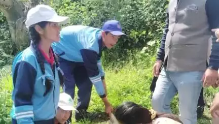 कुल्लू: पीएम श्री भुट्टी स्कूल में पॉल्यूशन कंट्रोल बोर्ड ने मनाया विश्व पर्यावरण दिवस