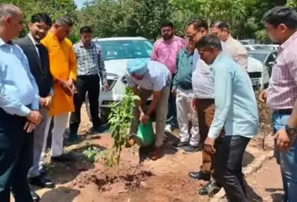पंचकूला: सेक्टर 2 में राष्ट्रीय स्वास्थ्य मिशन और पर्यावरण निदेशालय ने विश्व पर्यावरण दिवस पर किया वृक्षारोपण