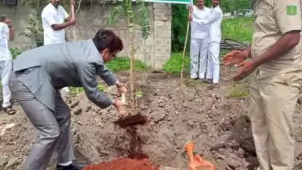 ಬಳ್ಳಾರಿ: ಜಿಲ್ಲಾ ನ್ಯಾಯಾಲಯದಲ್ಲಿ ವಿಶ್ವ ಪರಿಸರ ದಿನಾಚರಣೆ, ಗಿಡ ನೆಟ್ಟು ಪರಿಸರ ಸಂರಕ್ಷಣೆಗೆ ಸಂದೇಶ ನೀಡಿದ ನ್ಯಾಯಾಧೀಶರು