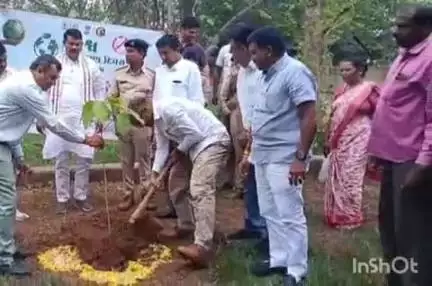 માંગરોળ: ઝંખવાવ, વાડી, માંગરોળ સહિત ઠેર ઠેર વિશ્વ પર્યાવરણ દિવસની ઉજવણી થઈ, ઝંખવાવ ગામે ધારાસભ્ય ગણપતસિંહ વસાવા એ વૃક્ષારોપણ કર્યું