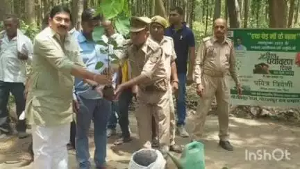 चौरीचौरा: चौरी चौरा में वन विभाग की टीम ने किया पौधारोपण