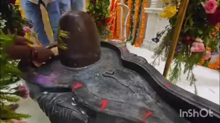નવસારી: વેરાવળ પાસે મુક્તિનાથ મહાદેવ મંદિર ની પ્રાણ પ્રતિષ્ઠા મહોત્સવની ઉજવણી કરવામાં આવી. હજારો ભક્તો ઉપસ્થિત રહ્યા
