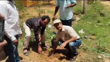 పర్యావరణ పరిరక్షణకు ప్రతి ఒక్కరూ కృషి చేయాలి: పీలేరు విద్యుత్ శాఖ ఎగ్జిక్యూటివ్ ఇంజనీర్ చంద్రశేఖర్ రెడ్డి