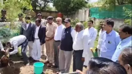 सिल्लोड: जागतिक पर्यावरण दिनानिमित्त सिल्लोड न्यायालयात वृक्षारोपण करण्यात आले