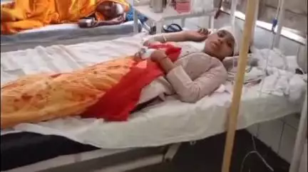 शिवपुरी नगर: मायापुर थाना क्षेत्र में जंगली जानवर ने साली को छोड़ने जा रहे बाइक सवारों पर किया हमला